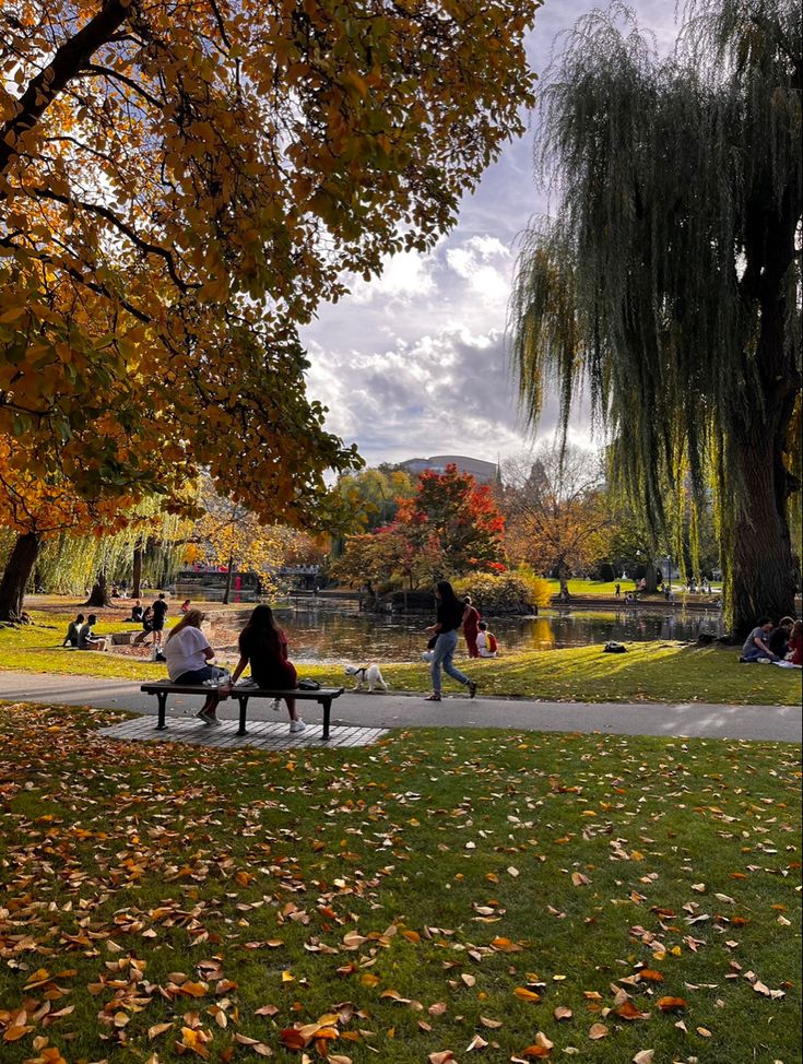 several people sitting on benches in a park with trees and leaves all around the place