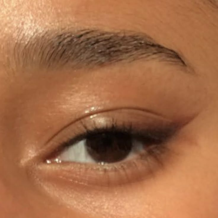 Brown Eyeshadow As Eyeliner, Winged Eyeliner Eyeshadow, Simple Eyeliner With Eyeshadow, Brown Eyeliner Eyeshadow, Brown Eyeliner With Eyeshadow, Very Simple Eyeshadow, Simple Brown Eyeliner Look, Soft Minimal Makeup, Soft Brown Eye Makeup Natural Looks