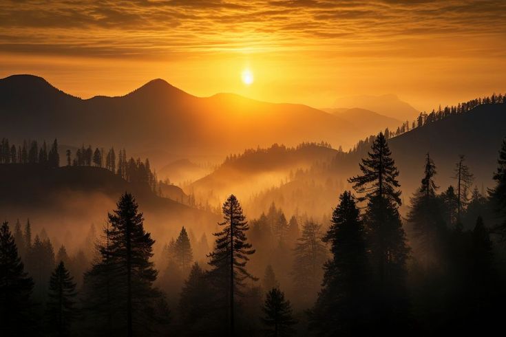 the sun is setting in the mountains with trees on each side and fog covering the ground