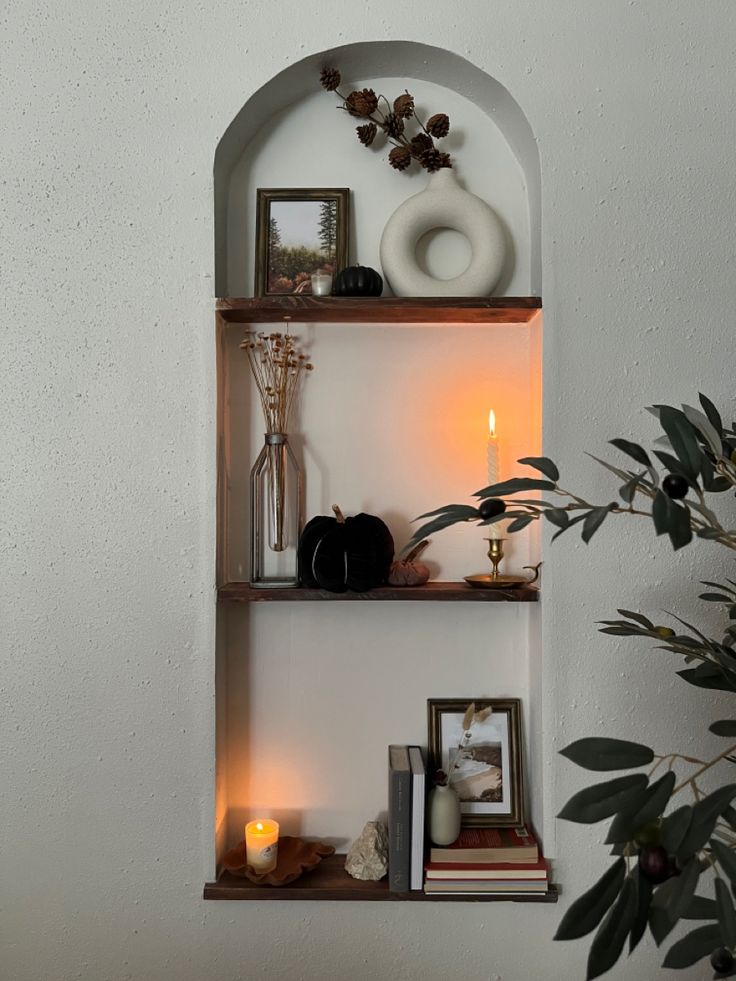 two shelves with candles and pictures on them next to a potted plant in front of a white wall