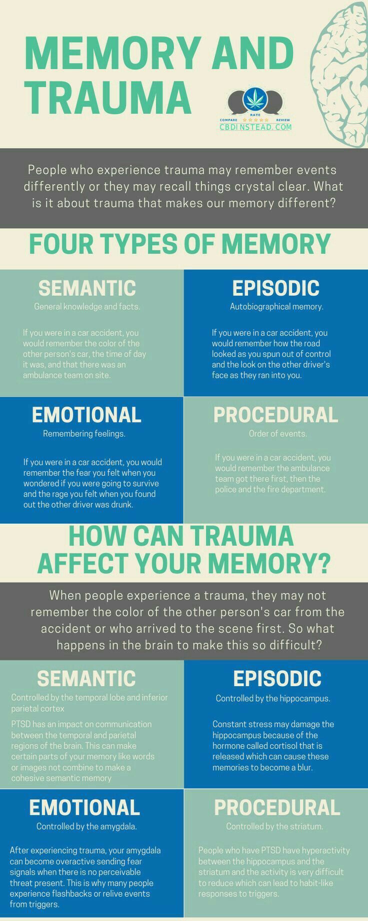 the four types of memory and how they are used to help them understand what it means