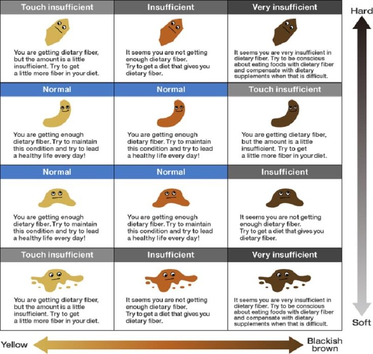 an image of different types of animals and their names in the english language, with arrows pointing