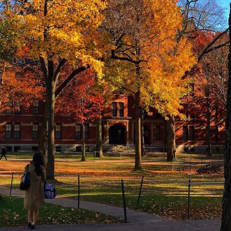 a woman walking down a sidewalk in front of trees with orange and yellow leaves on it