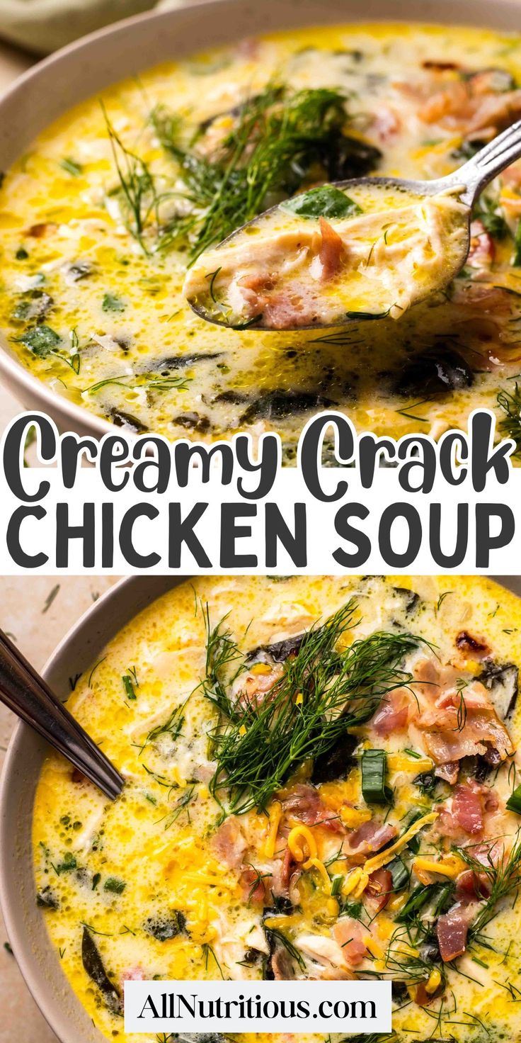 creamy cracker chicken soup in a bowl with a spoon