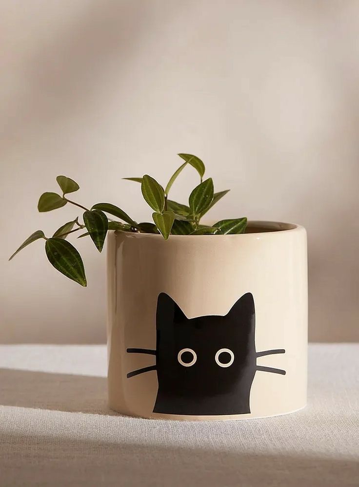 a planter with a black cat face painted on it