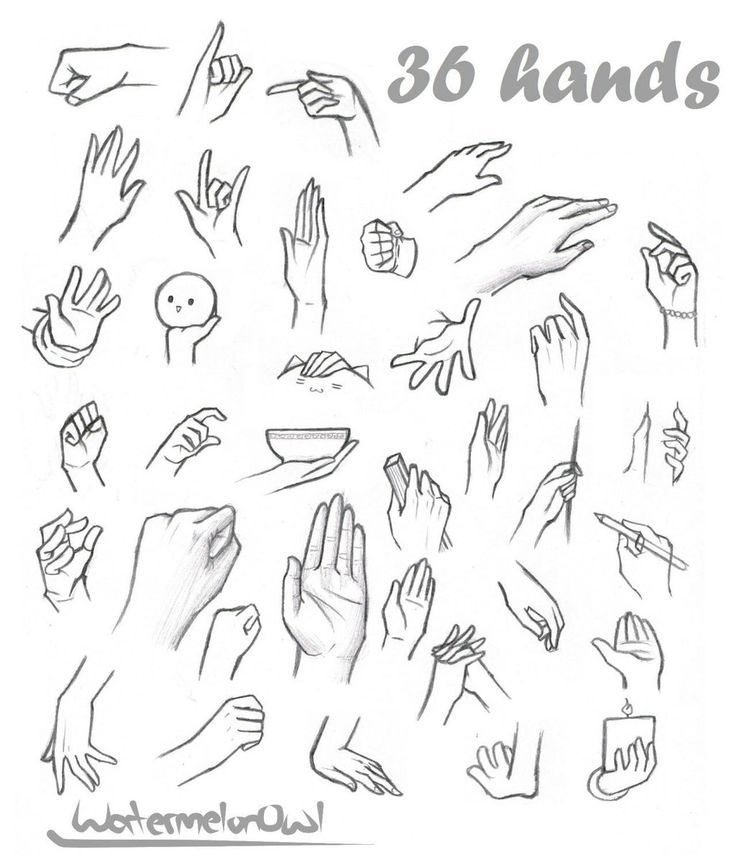 a drawing of many hands with different gestures