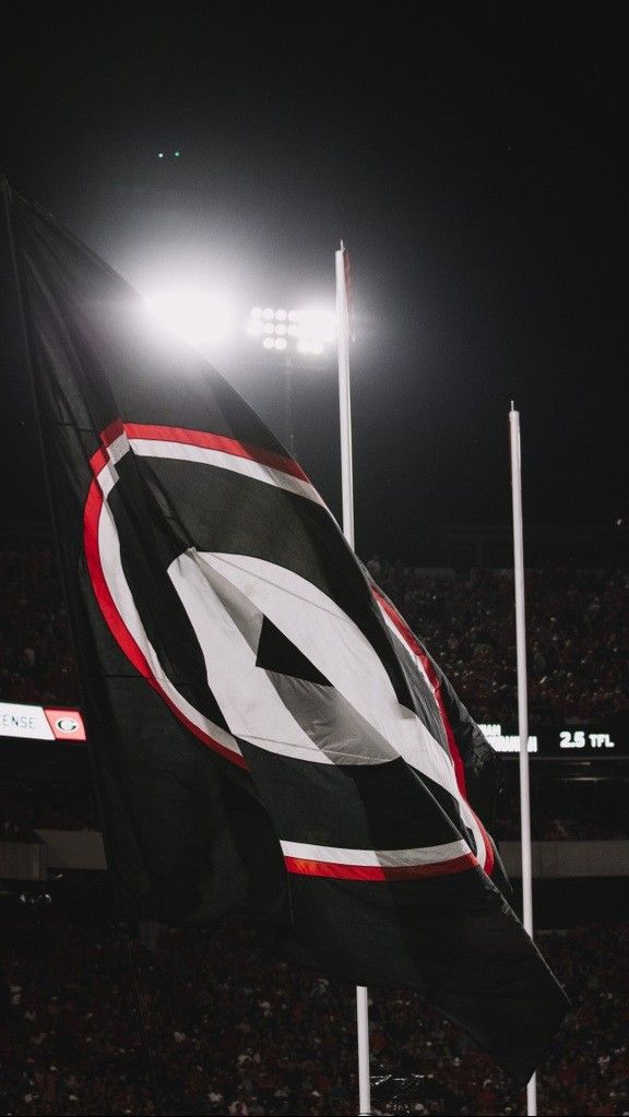 a black and white flag on a pole in front of a crowd at a football game