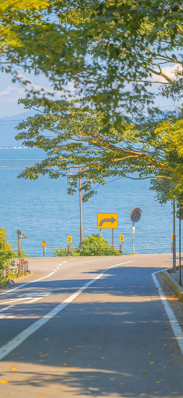 an empty street next to the ocean with trees on both sides and yellow signs above it