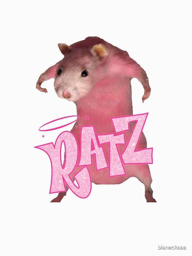 a pink rat with the word ratz on it's back and its tail sticking out