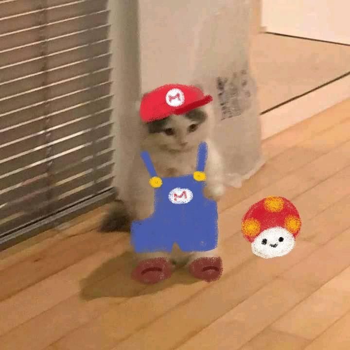 a cat wearing a mario hat and overalls standing next to a stuffed animal toy