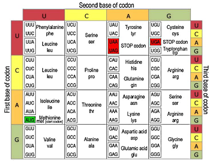 a table with the names and symbols for different types of carbons in each region