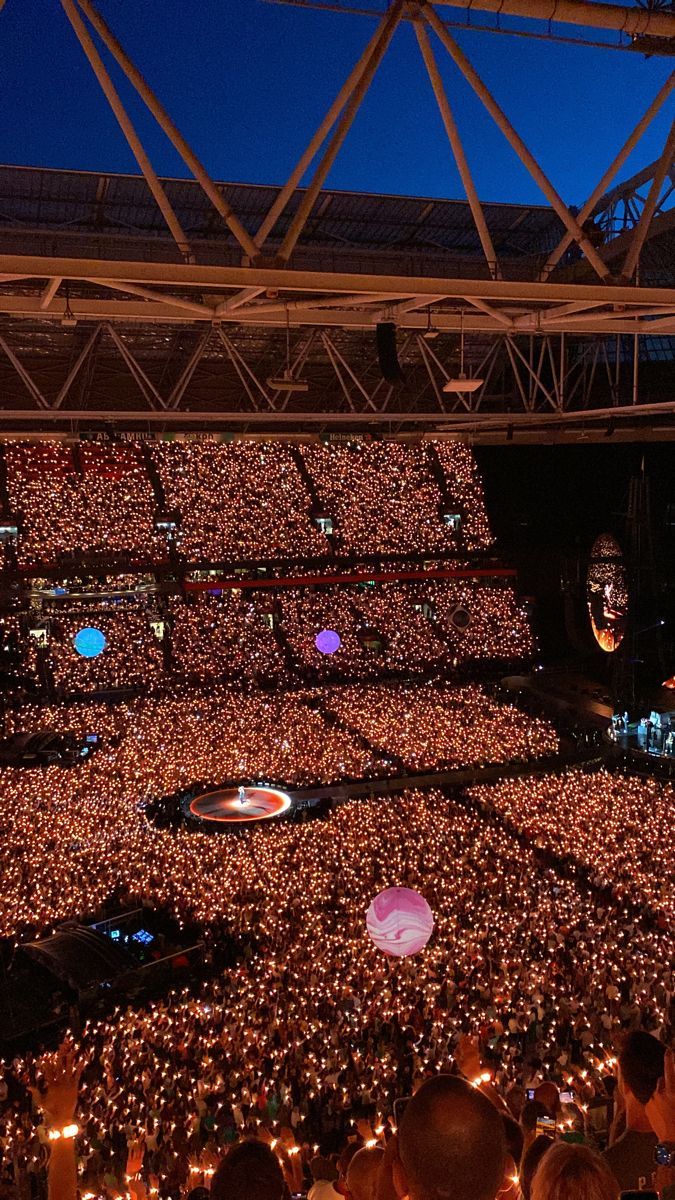 a large group of people in a stadium