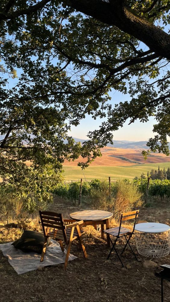 a table and chairs under a tree in the middle of a field with mountains in the distance