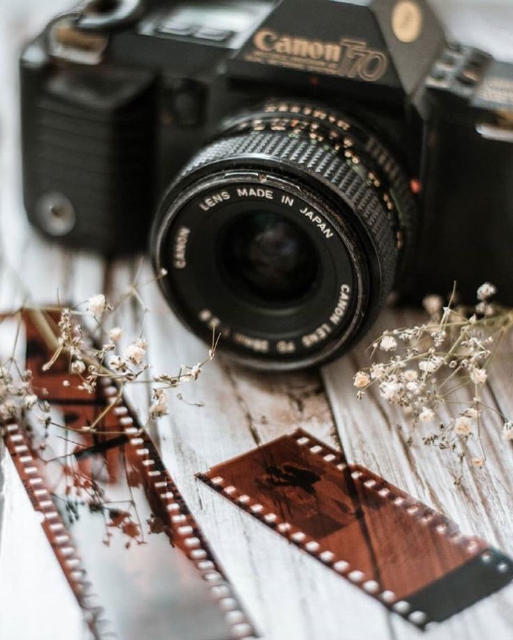 a camera sitting on top of a wooden table next to a couple of small flowers