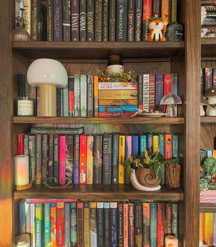 a bookshelf filled with lots of different types of books next to a lamp