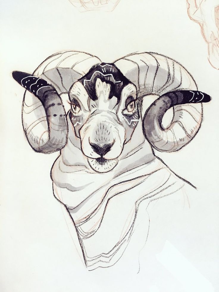 a drawing of a ram with horns on it's head, wearing a scarf