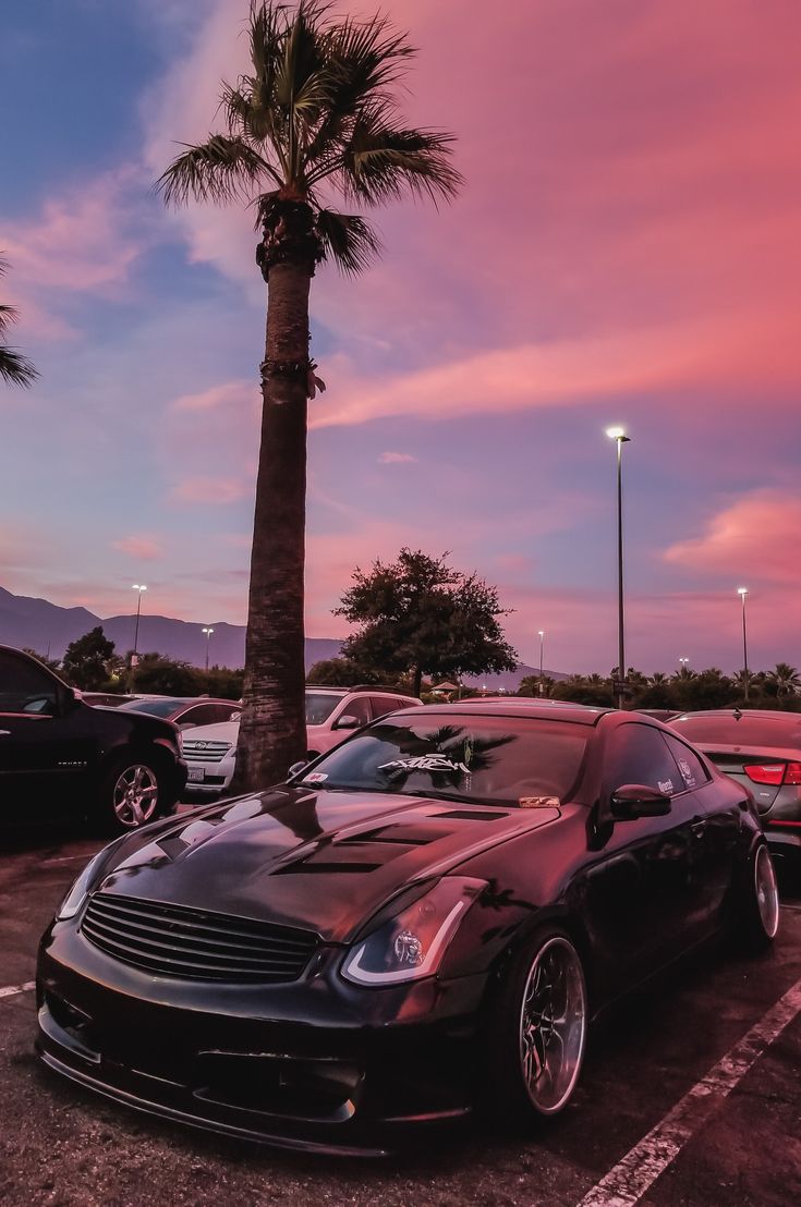 a black car parked in a parking lot next to a palm tree and other cars