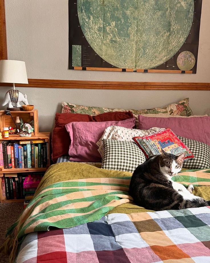 a black and white cat laying on top of a bed next to a book shelf