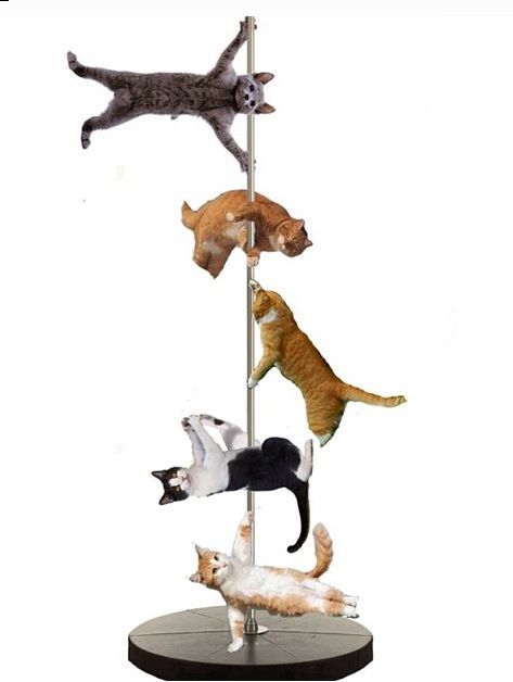 four cats are climbing up and down on a pole with their heads in the air