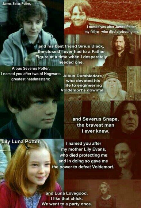 the many faces of harry potter