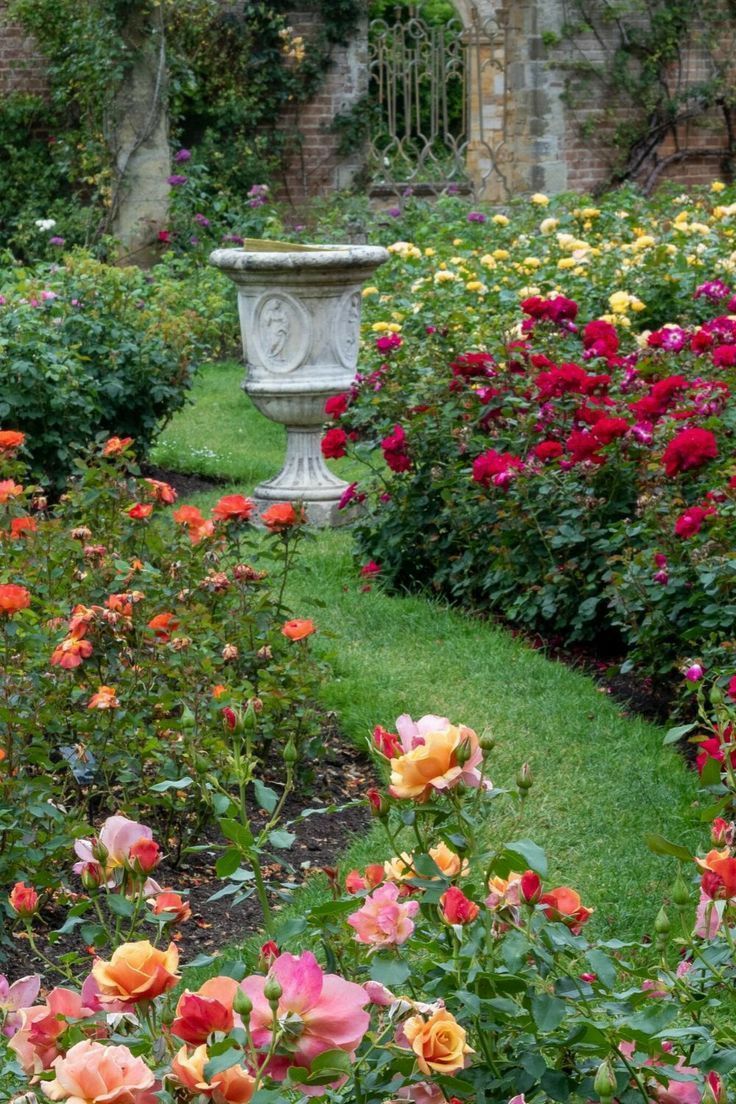 a garden filled with lots of colorful flowers