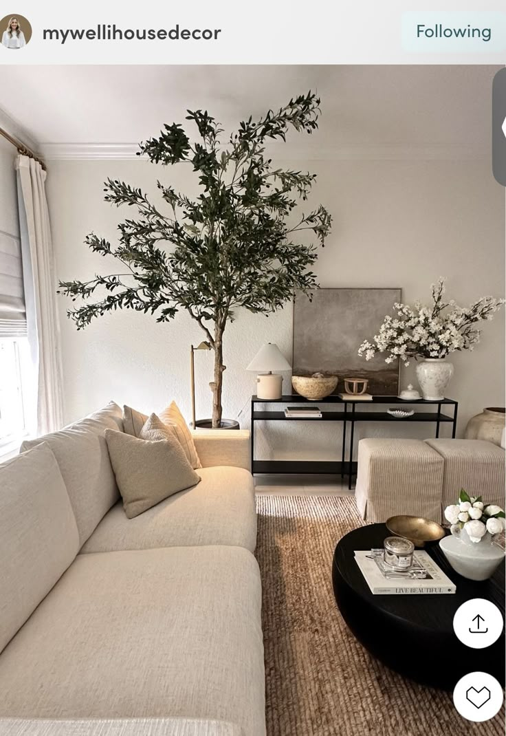 a living room filled with furniture and a potted tree in the middle of the room