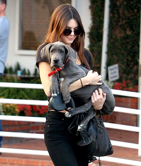 a woman carrying a dog in her arms