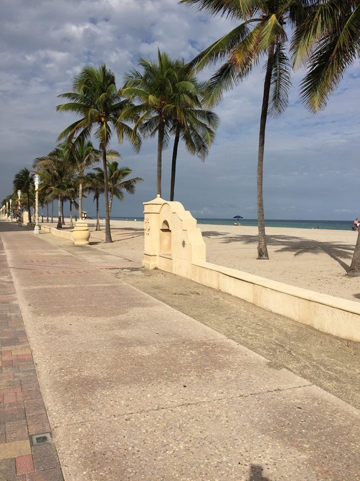 palm trees line the beach on a cloudy day