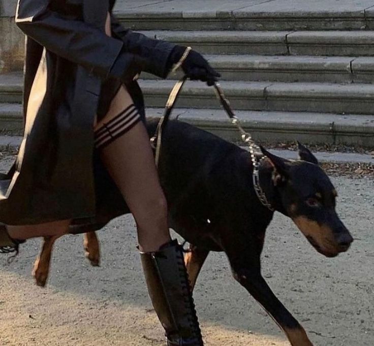 Doberman, Wearing Black, A Woman, High Heels, Walking, Heels, Instagram, Black