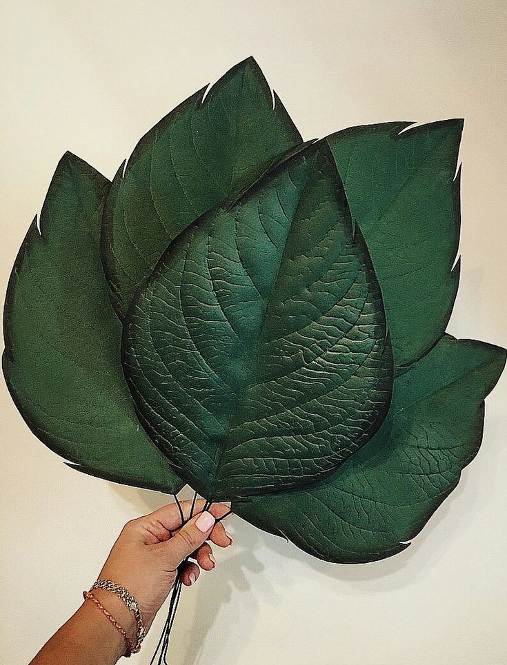 a hand holding a large green leaf over a white wall with other items in the background