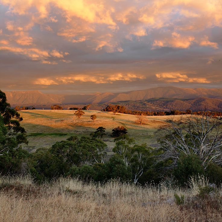 a field with trees and hills in the background under a colorful sky filled with clouds