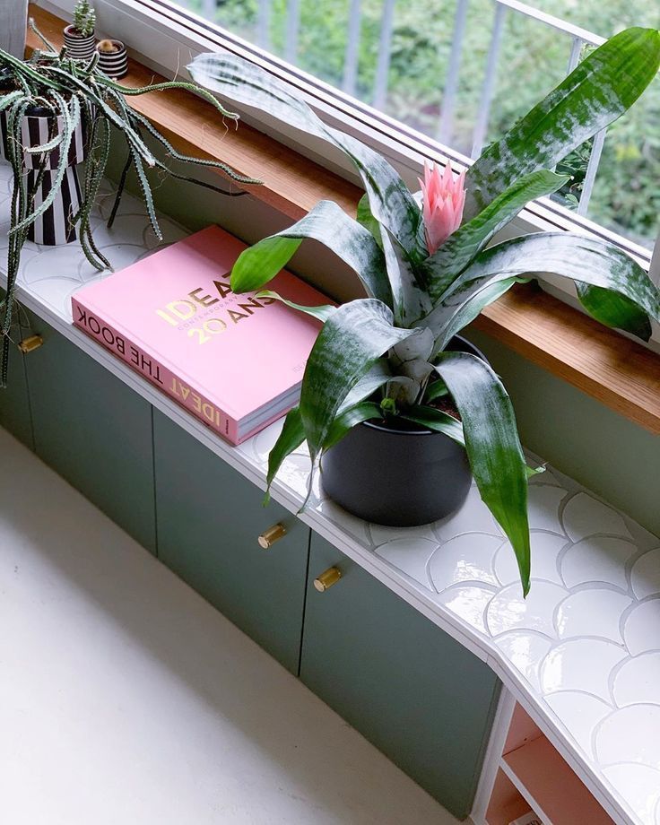 a houseplant sits on a window sill next to a pink book and potted plant