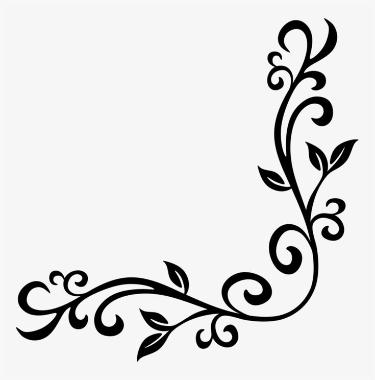 a black and white image of a vine with leaves in the corner on a white background