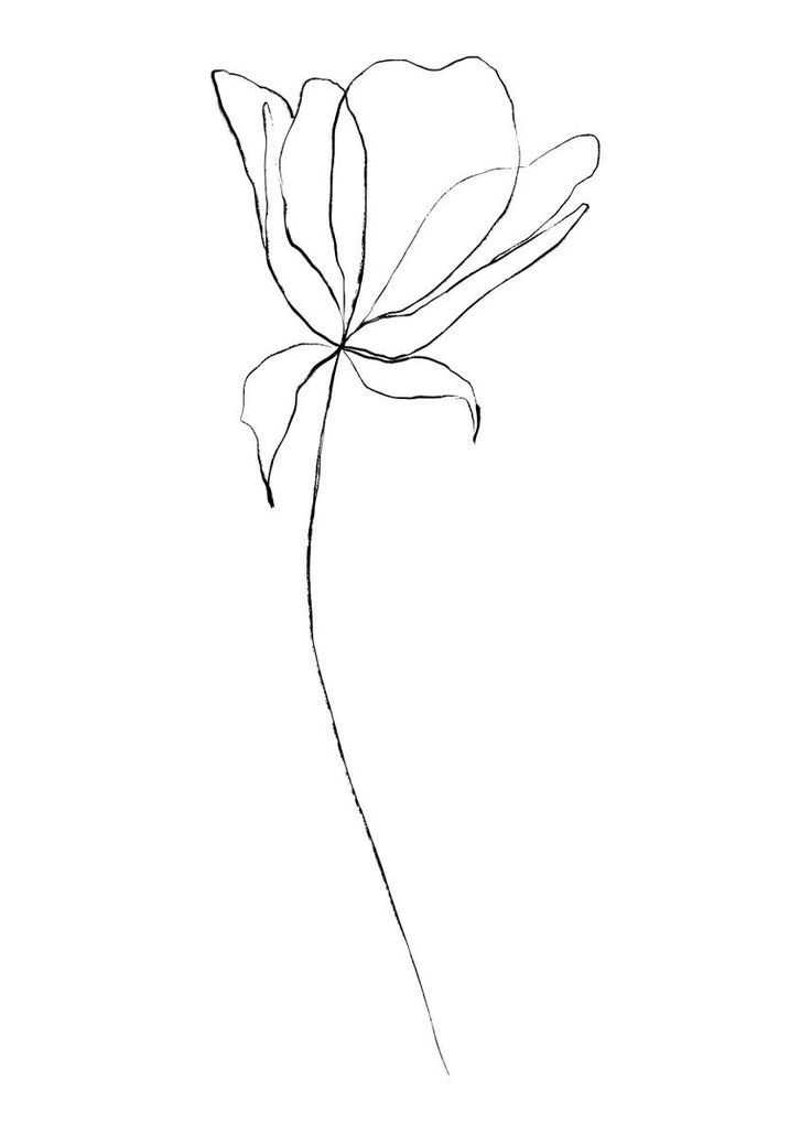 a black and white drawing of a flower