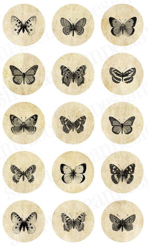 butterflies are shown in black and white on the back of an old - fashioned paper