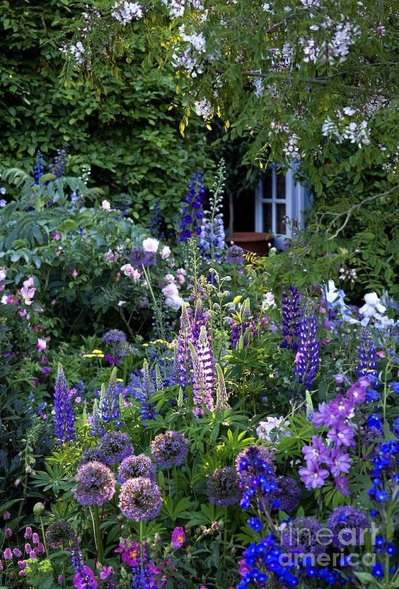 a garden filled with lots of purple and white flowers