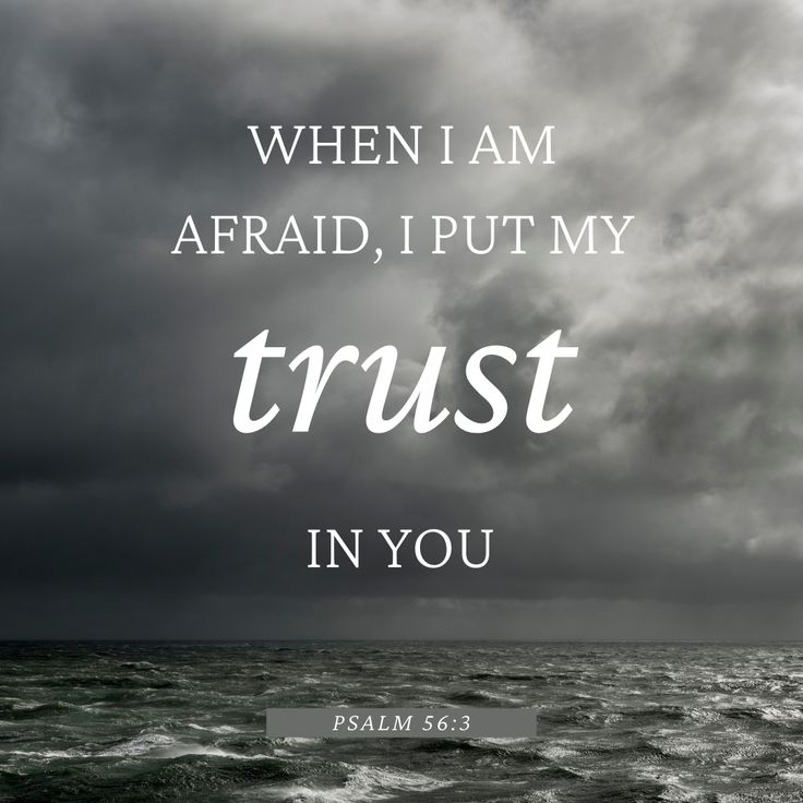 the bible verse, which reads when i am afraid, put my trust in you