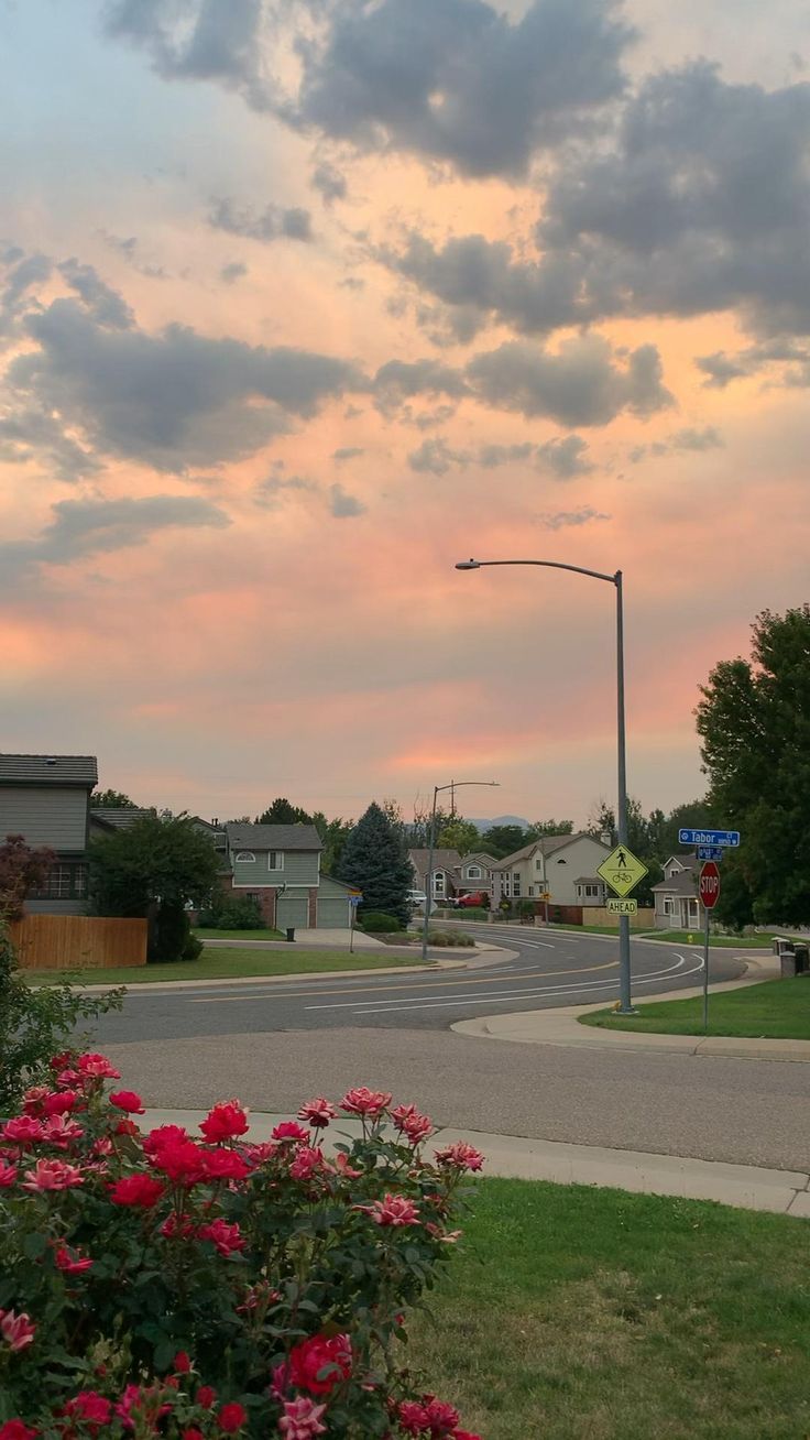 the sun is setting over a residential area with pink flowers in the foreground and clouds in the background