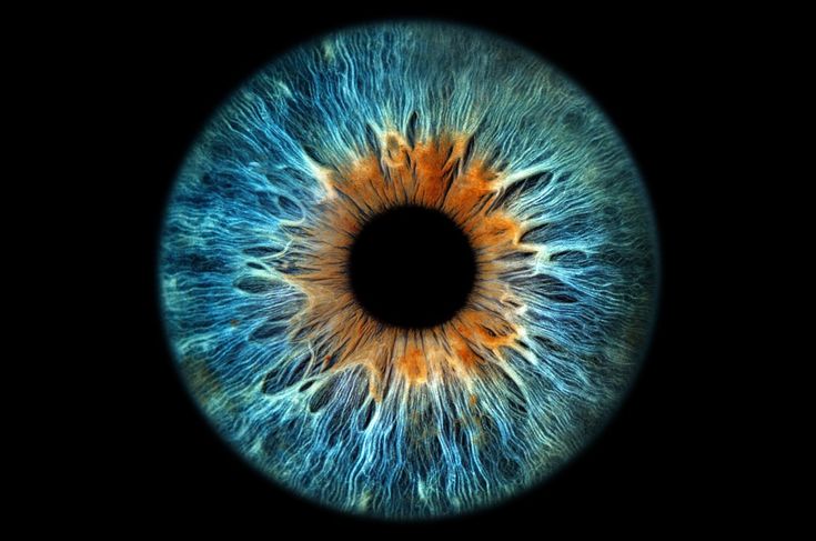 the iris of an eye is shown in this close up photo, it appears to be blue and orange