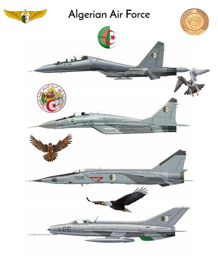 four fighter jets are shown with emblems on the side and below one is an eagle