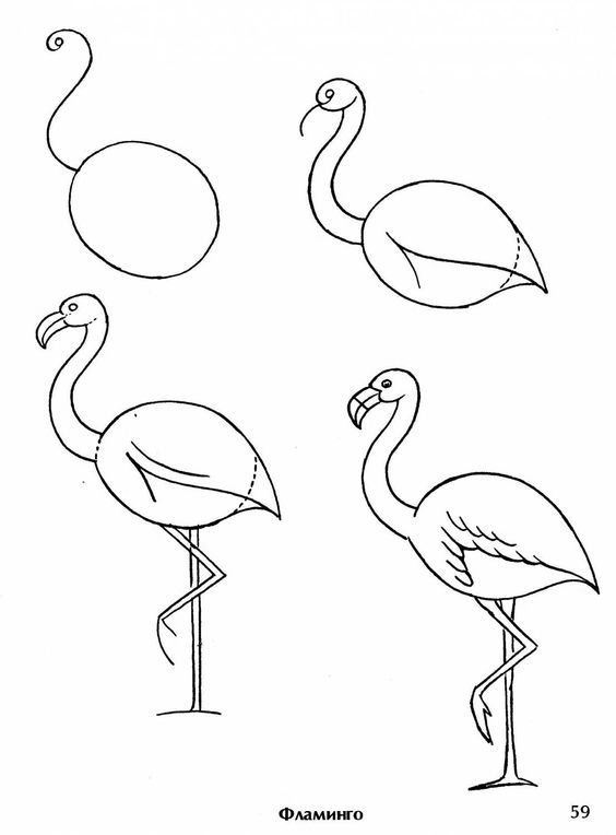 three flamingos are standing in different positions