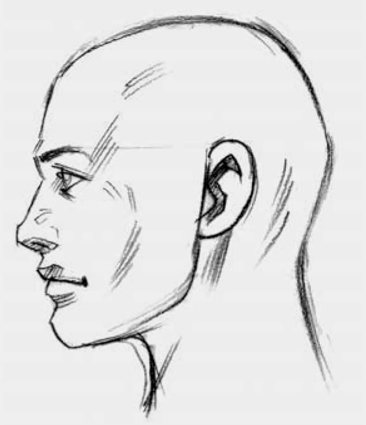 a drawing of a man's head with the side view of his face in perspective