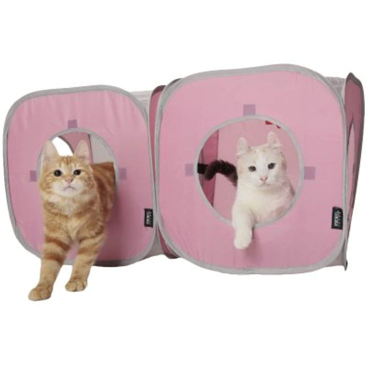 two cats are sitting in the pink cat house and one is looking at the camera