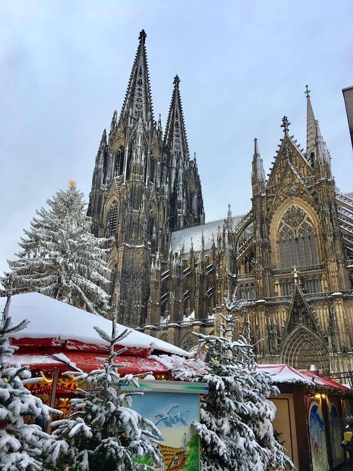 the cathedral is surrounded by snow covered trees