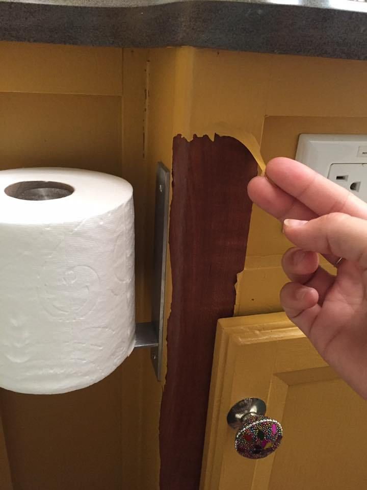 a person holding a roll of toilet paper in front of a door with a hole in it