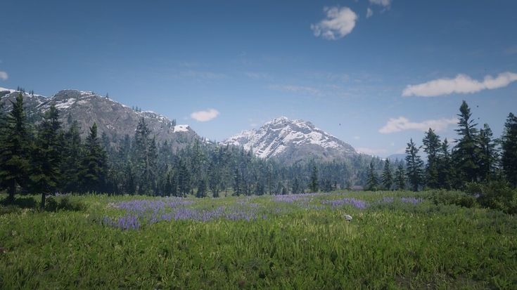 the mountains are covered in snow and green grass, with blue wildflowers on the foreground