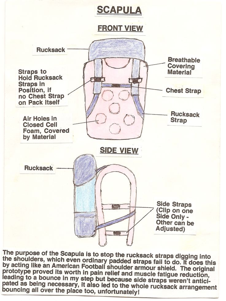 This the first backpack idea I had that revealed the body is like a car and needs shock absorption over rough ground too Closed Cell Foam, A Car, The Body, Hold On, The First