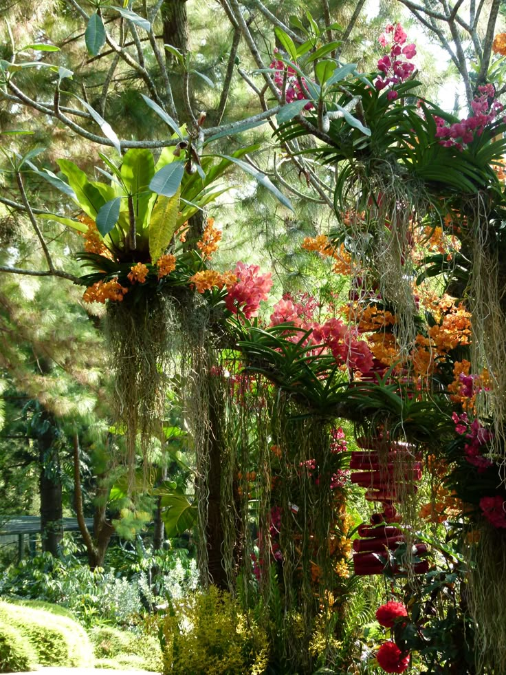 an outdoor area with various plants and flowers hanging from the ceiling in front of trees