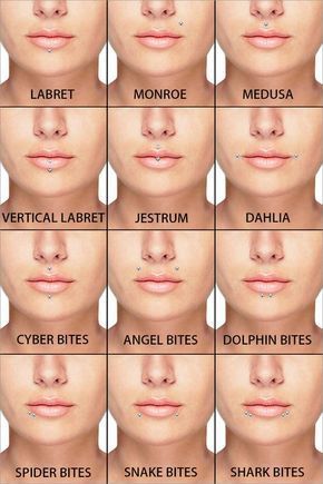 an image of different types of lips and their corresponding names on the same page, which includes