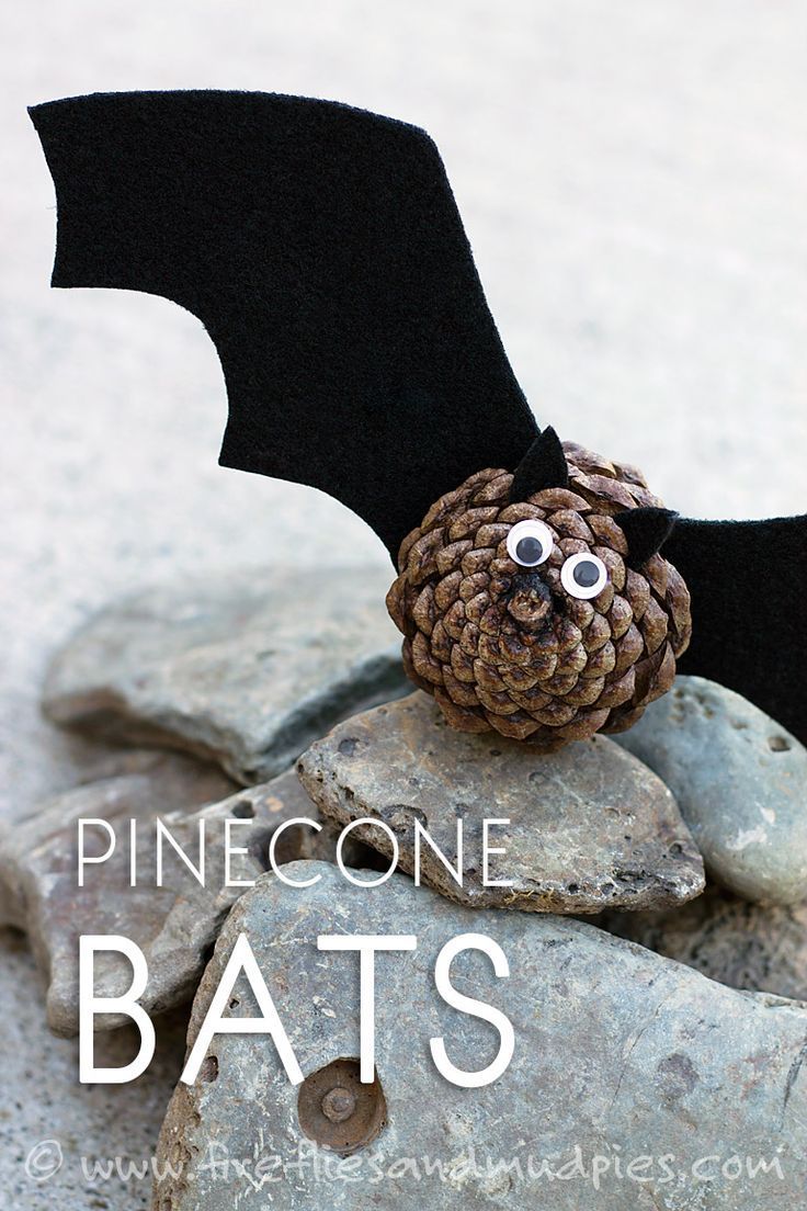 a pinecone bat sitting on top of rocks with text overlay that reads, pinecone bats